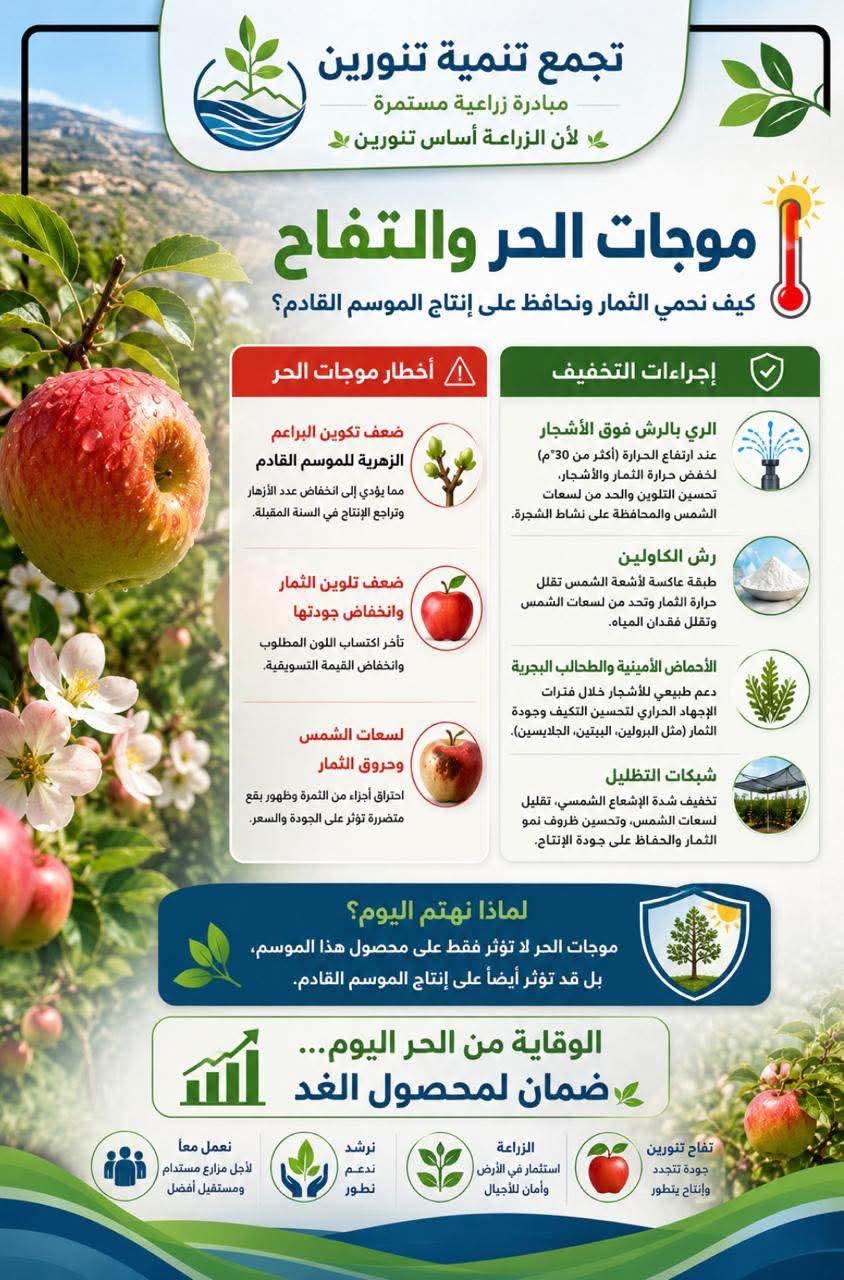 تجمع تنمية تنورين ينشر دراسة عن تأثير موجة الحر خلال مرحلة نمو الثمار.