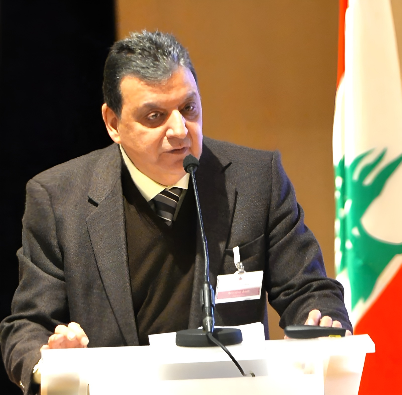 لبنانان في وطن واحد